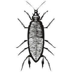 Vintage engrave isolated cockroach illustration cut ink sketch cockroaches