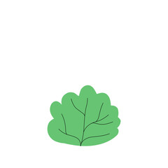 Large bundles of various shrubs