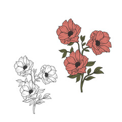red flowers vector