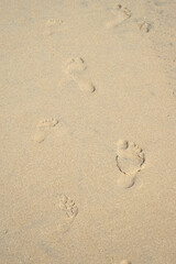 Footprints of a parent and child walking together on the sandy beach. 