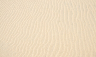 Fototapeta na wymiar Focus on the sand waves or sand ripples caused by the wind blowing over the sandy beach. 