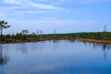 Kemeru swamp, national park with blue lake and trees, and bushes in Latvia with wooden pathway between water, Europe