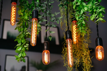 Vintage incandescent light bulbs decorate the interior of the room. Lamps hanging among the green lianas. Lighting in the loft style interior.