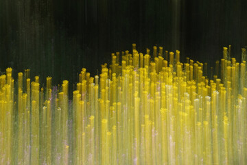 yellow color motion blur smudged over spring flowers like abstract paint strokes intentional camera...