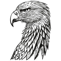 Vintage engrave isolated eagle illustration cut ink sketch bird