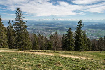 Vue sur les Alpes depuis le Hinter Weissenstein  (Canton de Soleure )