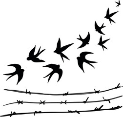 Flock swallows birds black silhouette on white background