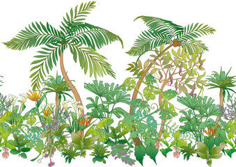 Tropical plants and flowers. Seamless pattern, background. Vector illustration