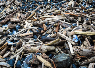 Beach Bones