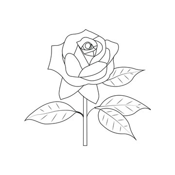 kide book  line art drowing,pj