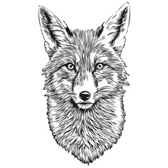 Naklejka premium fox vector illustration line art drawing black and white fox cub