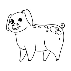 Pig. Piglet. Livestock, animal, Farming. Farm. Vector illustration isolated on white background. Coloring book