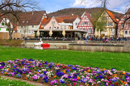 Uferpromenade Nagold an der Nagold, Fr&uuml;hling