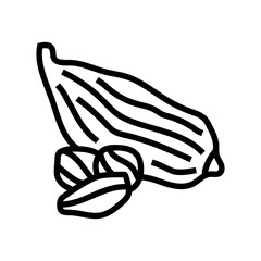 cardamom food herb line icon vector illustration