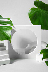 Plaster podiums and monstera leaves on white background