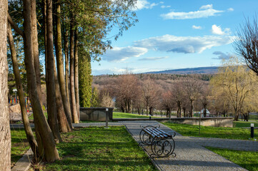 Naklejka premium Summer in a landscape park...Trees and bushes in green clothes.
