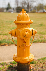 fire hydrant on a street corner, symbolizing the crucial role it plays in ensuring public safety...