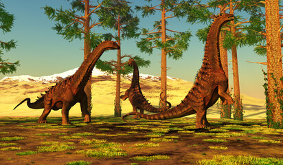 Alamosaurus eating Pine Trees - A group of Titanosaurs called Alamosaurus forage among a forest of Pine trees. © Catmando