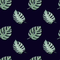 Fototapeta na wymiar Watercolor seamless pattern. Leaves of monstera Monstera deliciosa , tropical plant growing in the wild, isolated, drawn by hand. Watercolor illustration