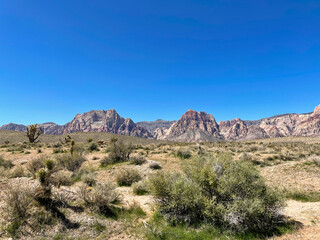 Fototapeta na wymiar Desert landscape near Red Rock Canyon
