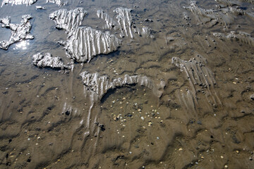 Strukturen und Formen des Wattenmeers 