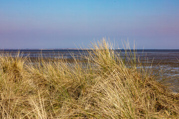 Dünenlandschaft an der Nordsee