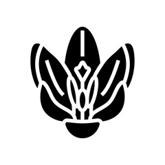crocus flower spring glyph icon vector illustration