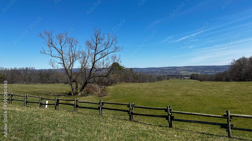 Wall mural landscape with fence