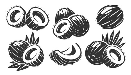 Set of vintage coconut icons isolated on white background. Vector illustration