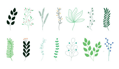 Fototapeta na wymiar Collection sketch twigs. Hand drawn vector floral elements.