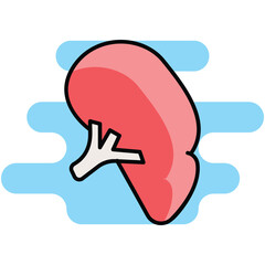 Spleen icon. Suitable for Web Page, Mobile App, UI, UX and GUI design