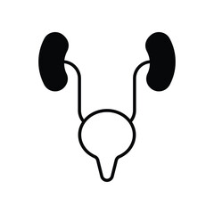 Fototapeta premium Ureters icon. Suitable for Web Page, Mobile App, UI, UX and GUI design