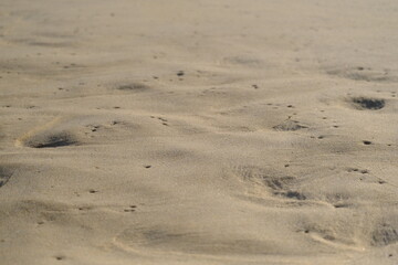 close-up of sandy beach