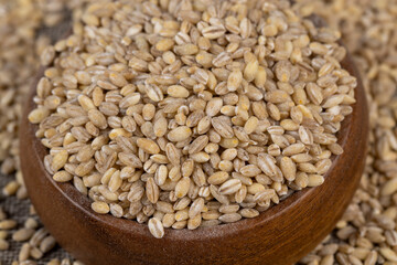 Cheap tasteless barley porridge close-up