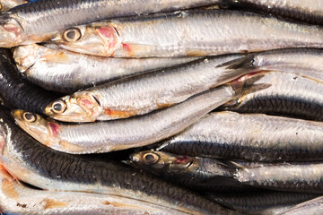 Fresh raw anchovies served on wooden surface