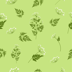 Seamless floral pattern with delicate white flowers and leaves on the green background.