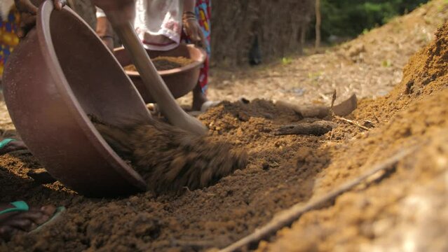Women farmers digging and collecting soil with shovels and basins to plant cocoa, in Ivory Coast