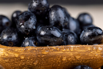 sweet ripe black grapes covered with drops of water