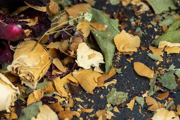 An old dry rose with crumbs from dry petals