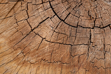 Fototapeta premium Une matière de bois craquelé