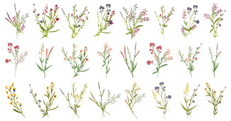 Botanical blossom floral elements. Big set small hand drawing branches, leaves, herbs, wild plants, flowers. Garden, meadow, field plants collection. Bloom bouquets vector illustration