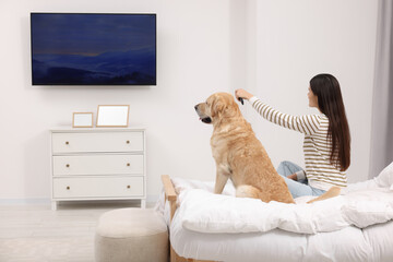 Happy woman turning on TV while sitting near cute Labrador Retriever at home, back view
