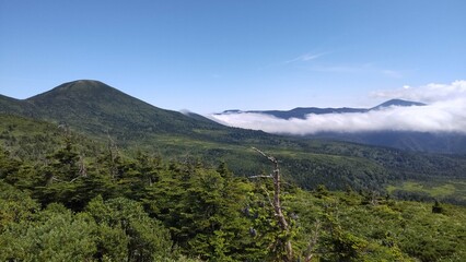 Fototapeta premium 青森県の八甲田山にある八甲田ゴードラインでのトレッキング風景
