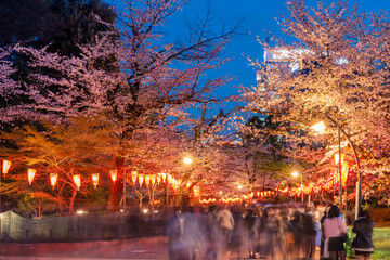 ライトアップされた上野恩賜公園さくら通りと夜桜を楽しむ人々（2023年3月）