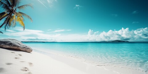 Fototapeta na wymiar beautiful beach view with coconut trees