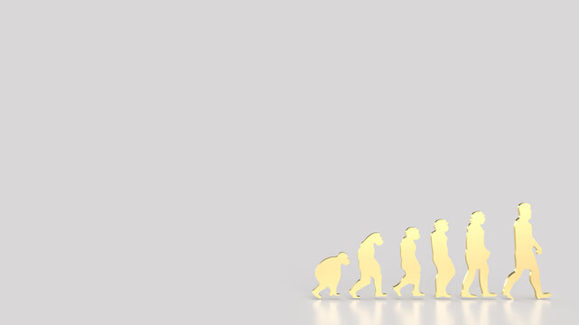 The human evolution image for education or sci concept 3d rendering