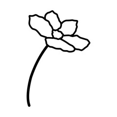Flower Outline
