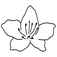 Flower Outline