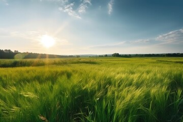 Fototapeta na wymiar Nature's Canvas: Beautiful Panoramic Landscape of a Sunny Green Field 10