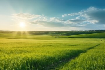 Fototapeta na wymiar Nature's Canvas: Beautiful Panoramic Landscape of a Sunny Green Field 4
